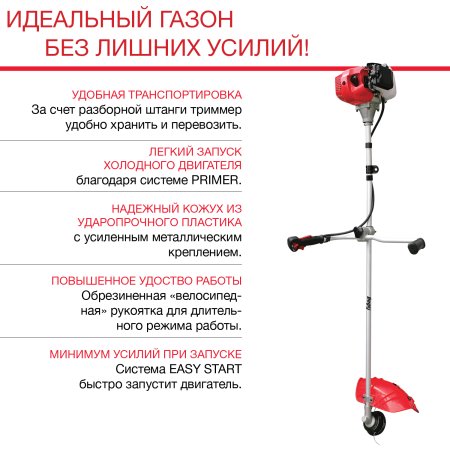 FPT33R2.jpg