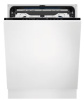 EEG88600W.jpg