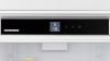 ICNSd 5603-20 0017.jpg